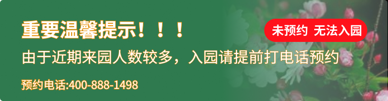 松隐山庄